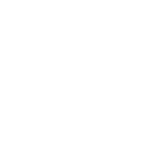 Cyber Essentials Logo