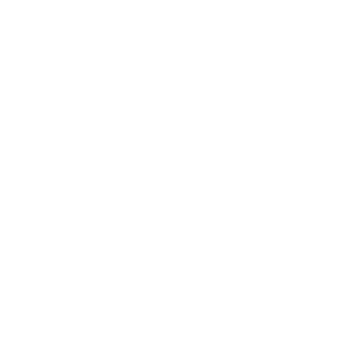 ISO Logo